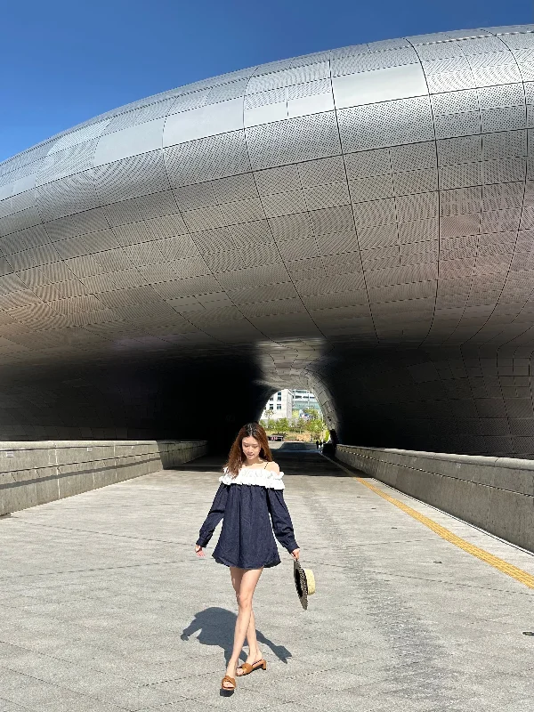 minimalist mini dressesRuffles & Denim Long Sleeves Mini Dress